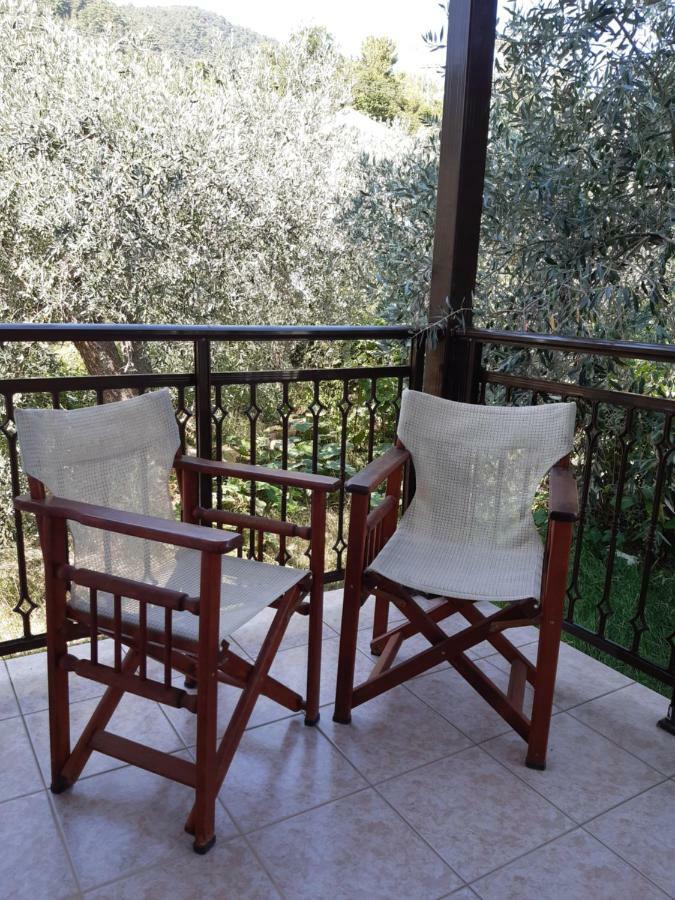 Hotel George Chrisi Ammoudia Eksteriør billede